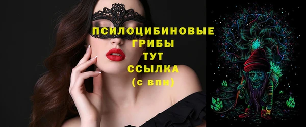 гашик Алексеевка
