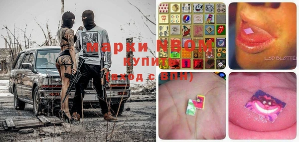 гашик Алексеевка
