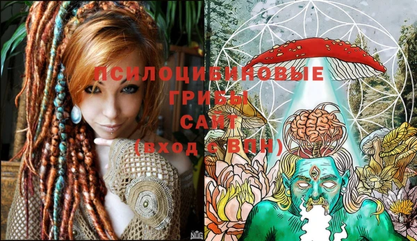 гашик Алексеевка