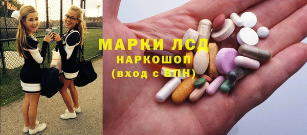 гашик Алексеевка