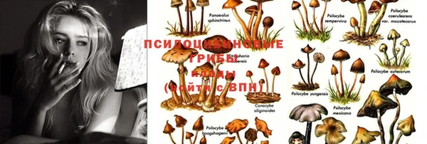 меф VHQ Алзамай