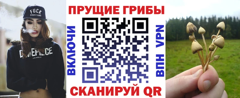 Галлюциногенные грибы Magic Shrooms Байкальск